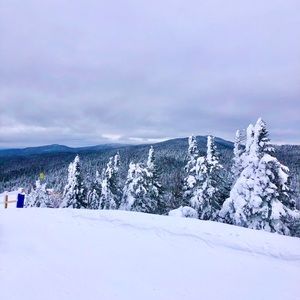 Meet your Posher, Dalia